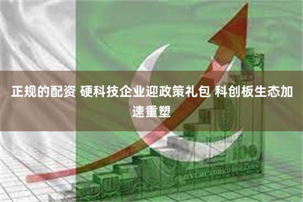 正规的配资 硬科技企业迎政策礼包 科创板生态加速重塑