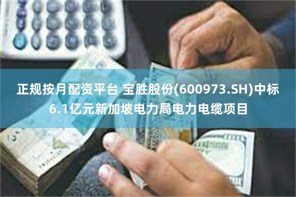 正规按月配资平台 宝胜股份(600973.SH)中标6.1亿元新加坡电力局电力电缆项目