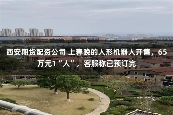 西安期货配资公司 上春晚的人形机器人开售，65万元1“人”，客服称已预订完