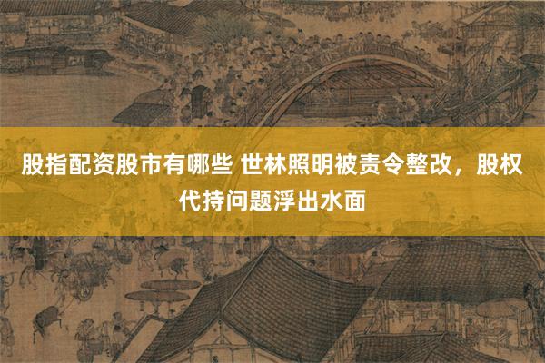 股指配资股市有哪些 世林照明被责令整改，股权代持问题浮出水面