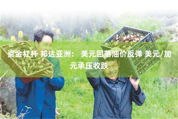 资金杠杆 邦达亚洲： 美元回落油价反弹 美元/加元承压收跌
