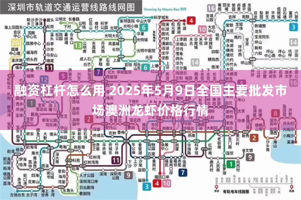 融资杠杆怎么用 2025年5月9日全国主要批发市场澳洲龙虾价格行情