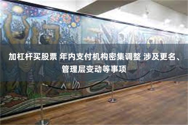 加杠杆买股票 年内支付机构密集调整 涉及更名、管理层变动等事项