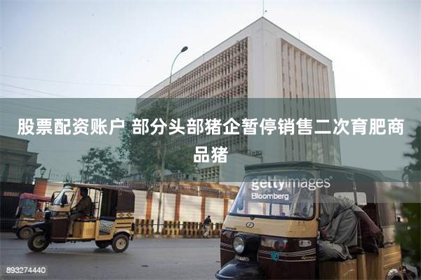 股票配资账户 部分头部猪企暂停销售二次育肥商品猪