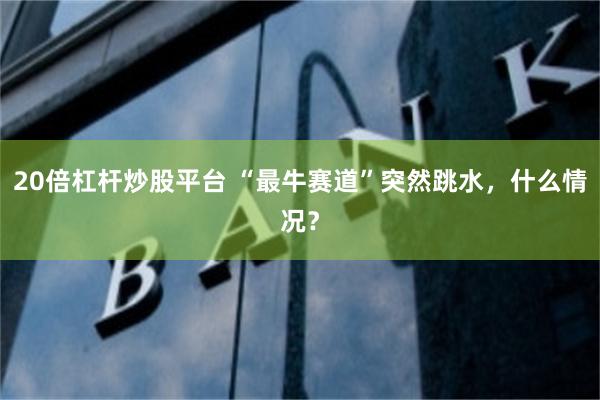 20倍杠杆炒股平台 “最牛赛道”突然跳水，什么情况？