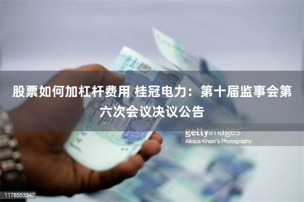 股票如何加杠杆费用 桂冠电力：第十届监事会第六次会议决议公告