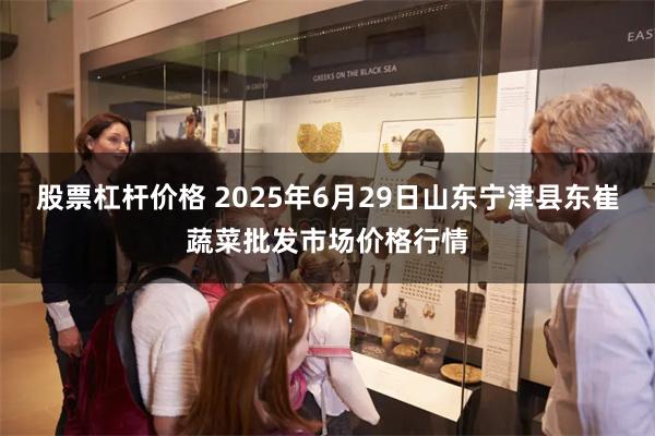 股票杠杆价格 2025年6月29日山东宁津县东崔蔬菜批发市场价格行情