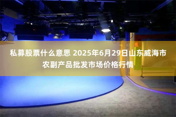 私募股票什么意思 2025年6月29日山东威海市农副产品批发市场价格行情