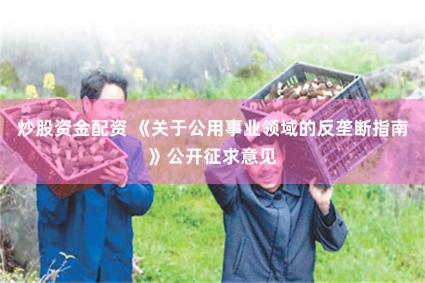 炒股资金配资 《关于公用事业领域的反垄断指南》公开征求意见