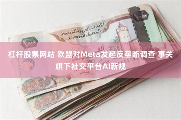 杠杆股票网站 欧盟对Meta发起反垄断调查 事关旗下社交平台AI新规