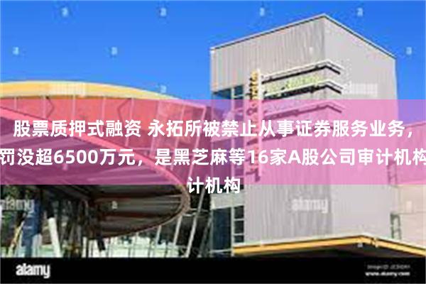 股票质押式融资 永拓所被禁止从事证券服务业务，罚没超6500万元，是黑芝麻等16家A股公司审计机构